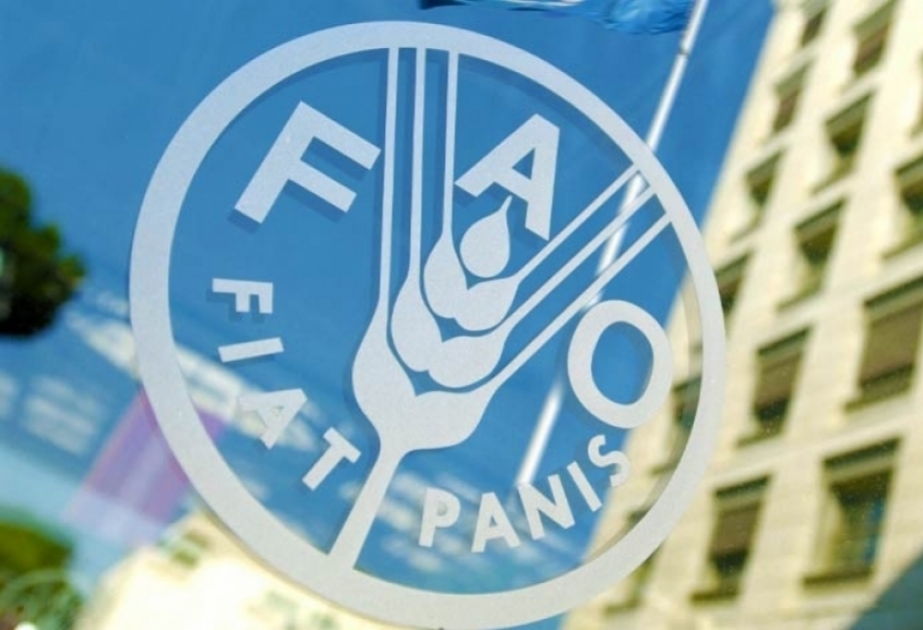 FAO : Légère baisse des prix des produits alimentaires dans le monde