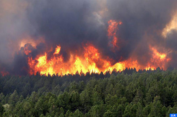 Feux de forêt au Portugal : Sur instructions royales, le Maroc envoie deux avions Canadair