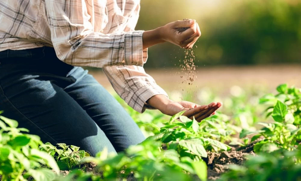 Formation professionnelle agricole : La tutelle décidée à former 140.000 lauréats d’ici 2030