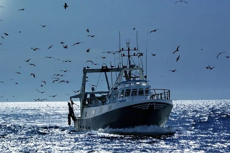 Accords de pêche et agricole : Le Maroc réagit à la décision de la CJUE