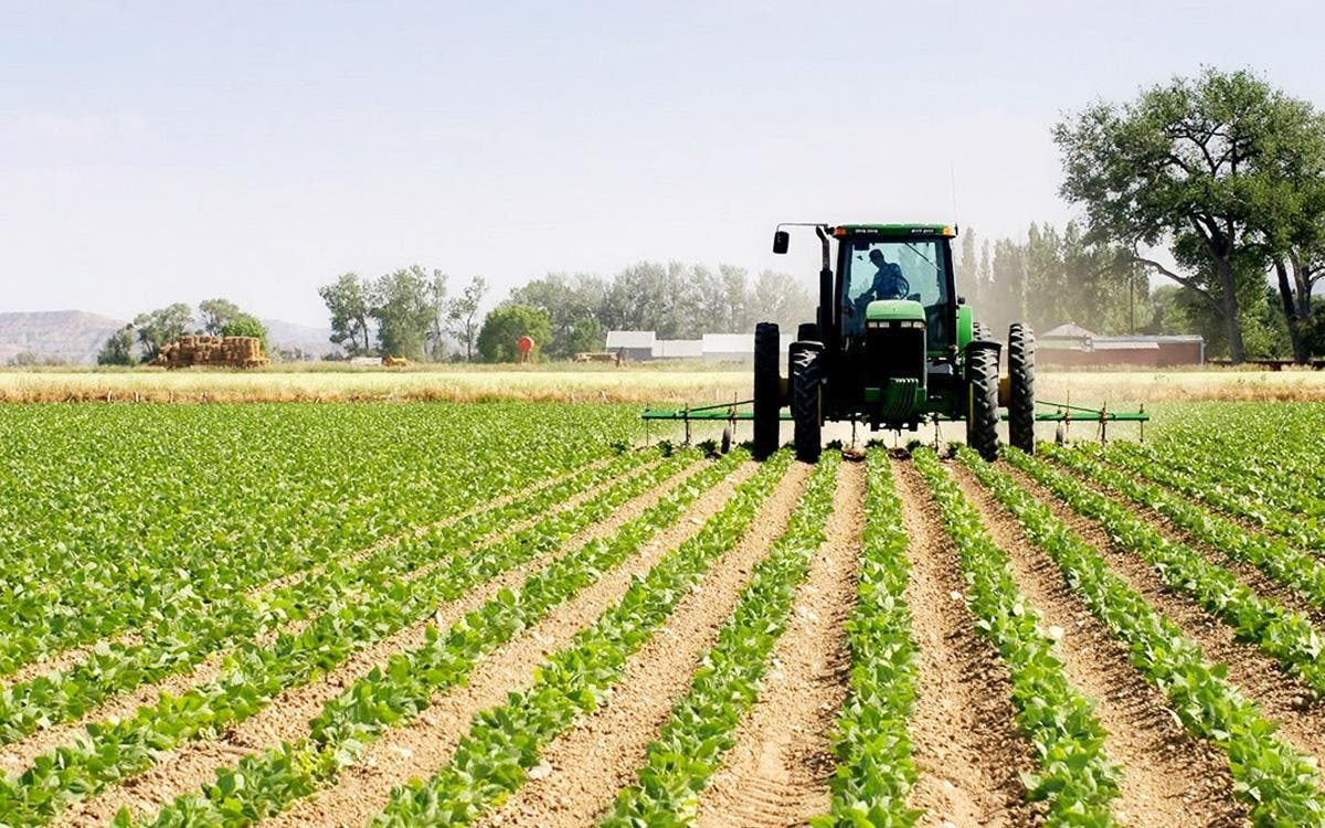 Activités agricoles et non agricoles : Hausse du salaire minimum légal en 2025