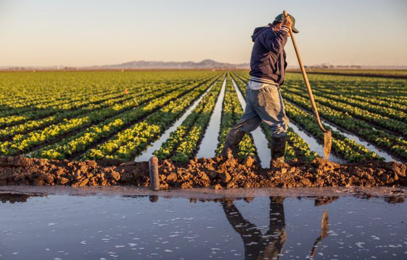 Maroc : Les barrages à usage agricole affichent un taux de remplissage de 26%