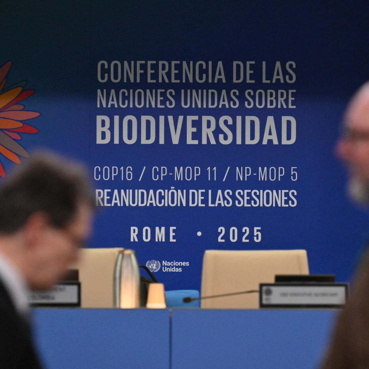 Rome : Le Maroc prend part à la COP16