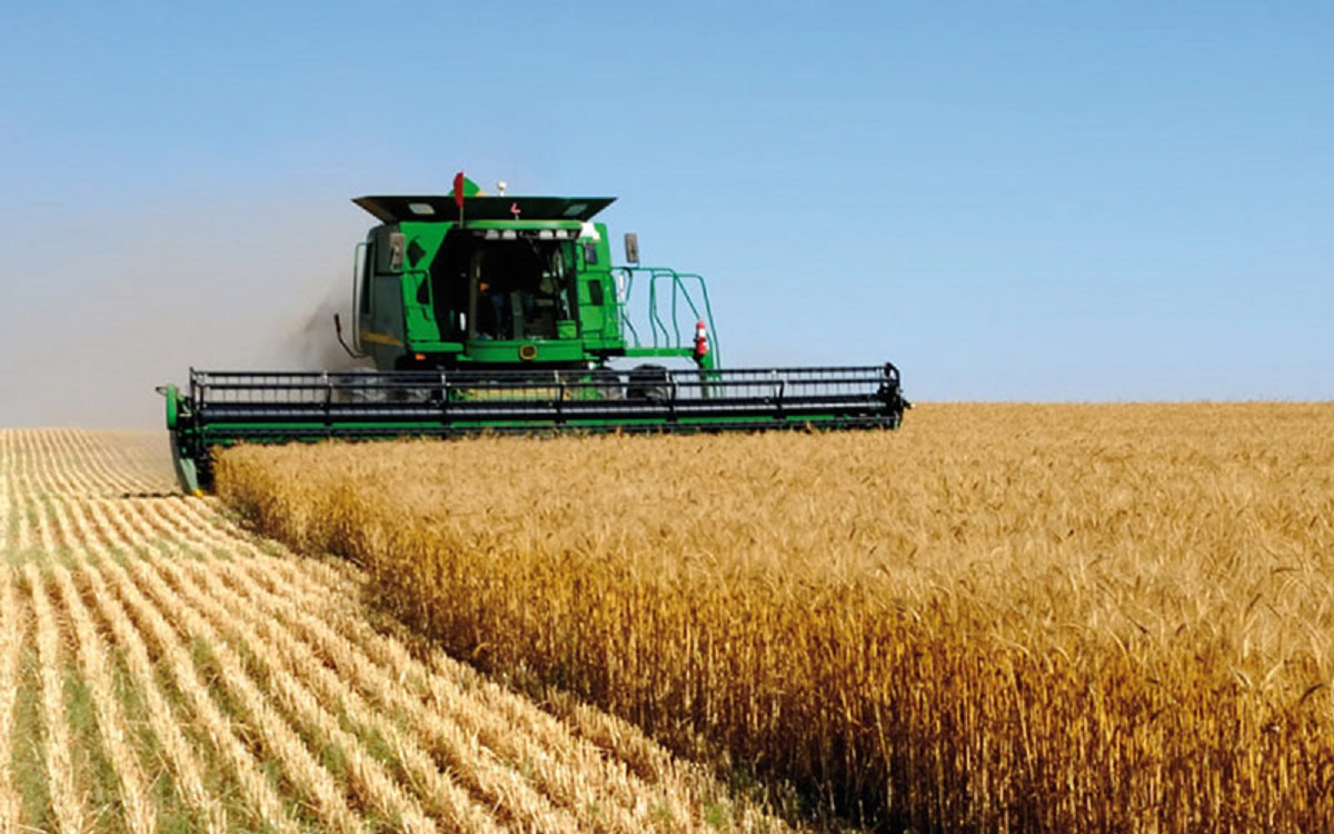 Campagne agricole : La tutelle fait le point