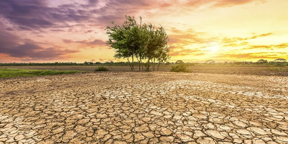OMM: Le changement climatique fait des ravages de plus en plus violents en Afrique