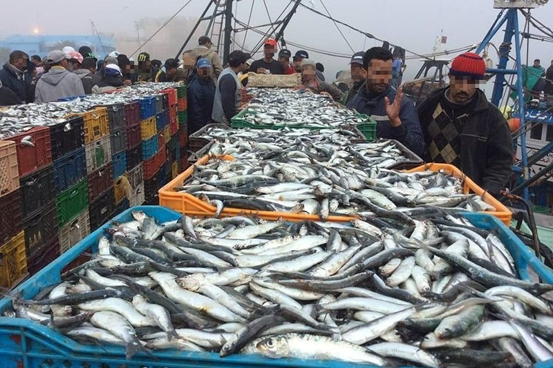 Actualités Économiques Marocaines en direct - LaQuotidienne
