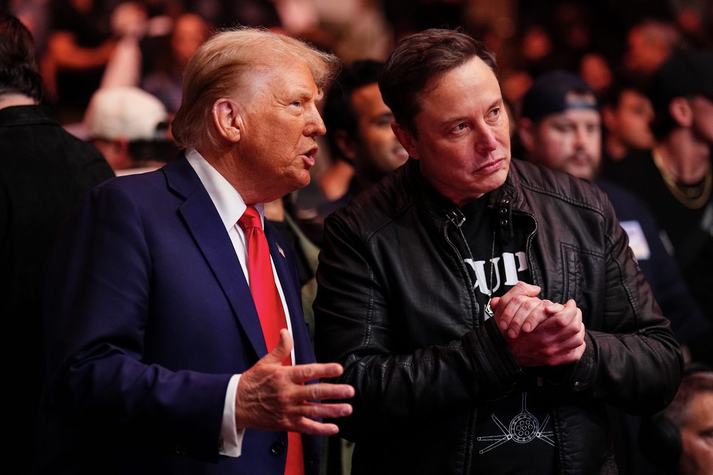 Trump-Musk : Pour le meilleur et pour le pire