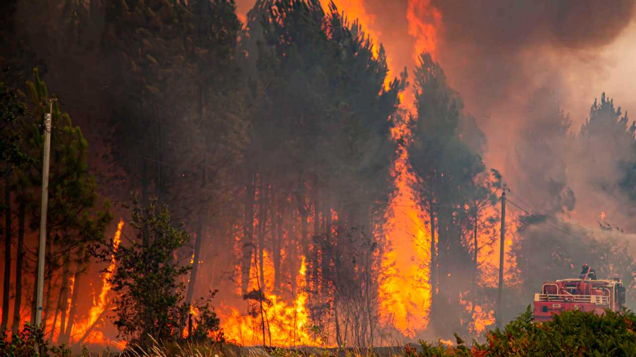 Incendies de forêts : l’ANEF publie les cartes précises des zones à risque