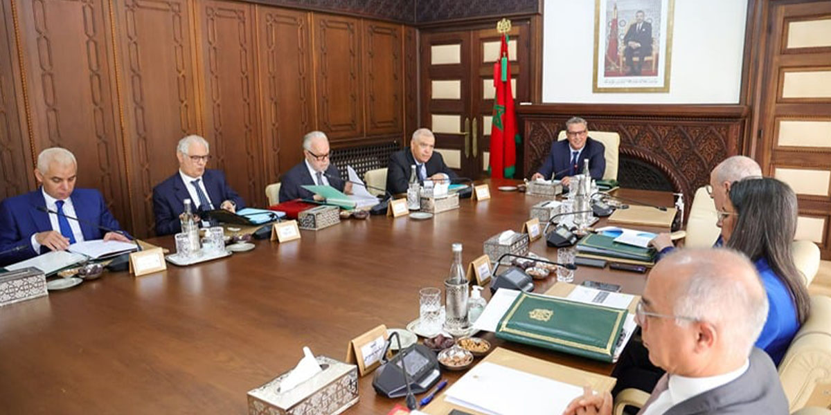 Mondial 2030 - Animaux errants - Etat civil : Le Maroc prend des décisions majeures