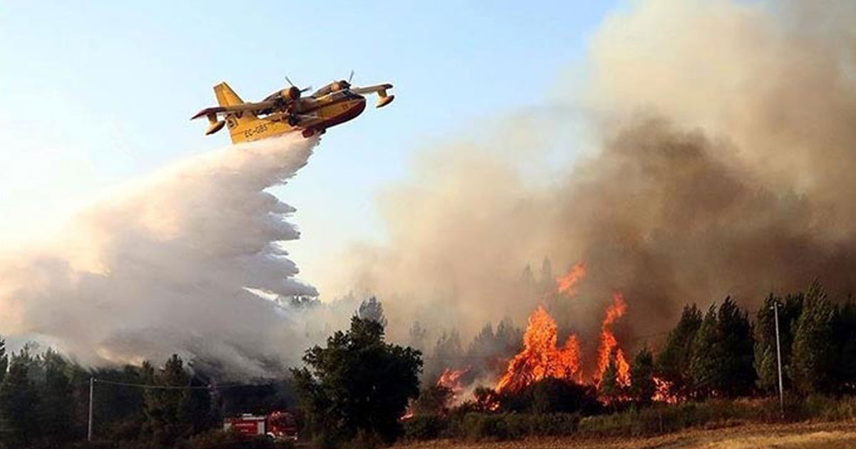 Feux de forêts : Le Maroc sur le front d’un été caniculaire