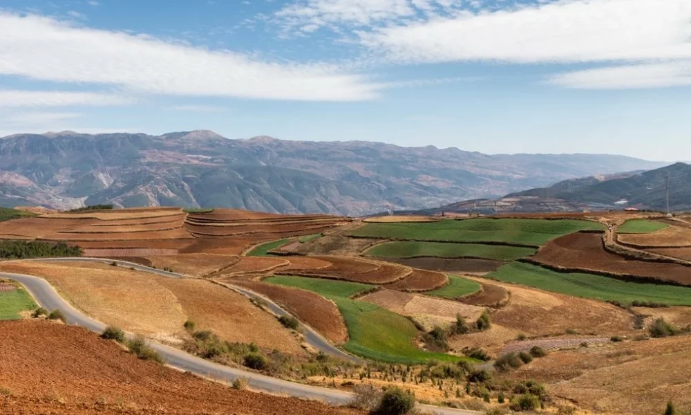 Actualités Économiques Marocaines en direct - LaQuotidienne