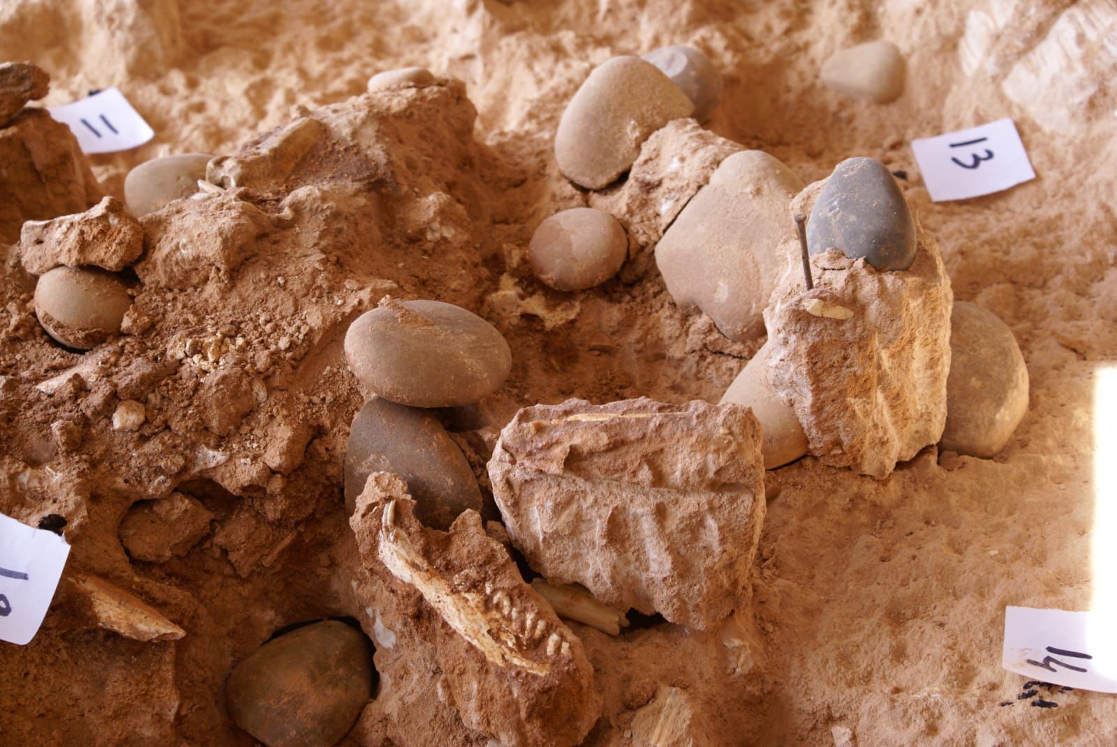 Info Quotidienne : Infos, Actualités Marocaines - LaQuotidienne