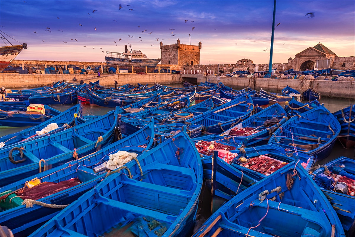 Actualités Économiques Marocaines en direct - LaQuotidienne