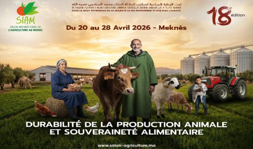 Actualités Économiques Marocaines en direct - LaQuotidienne