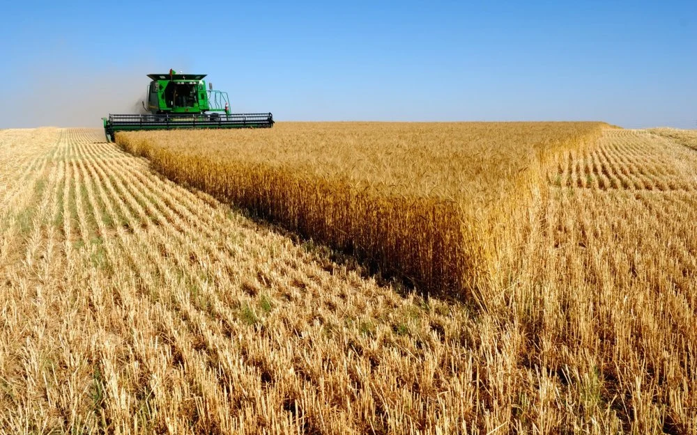Actualités Économiques Marocaines en direct - LaQuotidienne