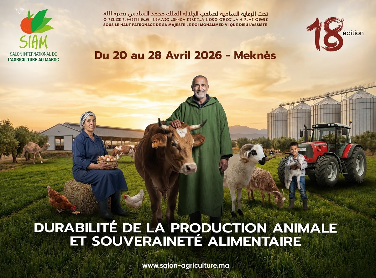 Actualités Économiques Marocaines en direct - LaQuotidienne