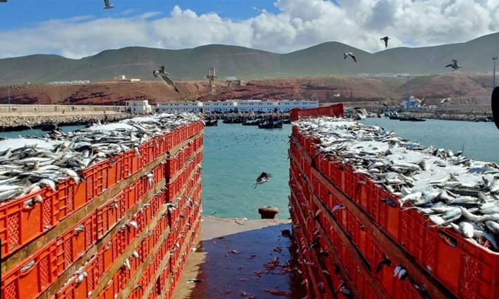 Actualités Économiques Marocaines en direct - LaQuotidienne