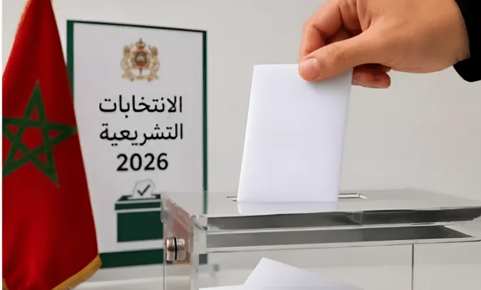 Elections législatives : La promesse, cette fraude parfaitement légale