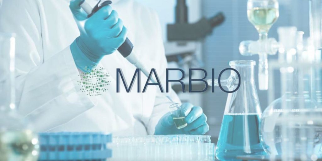 Souveraineté sanitaire : Le Fonds Mohammed VI pour l’Investissement reprend 10% de Marbio détenus par Recipharm