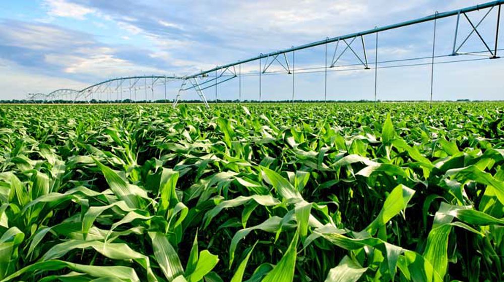 Souveraineté hydrique : le dessalement ciblé à 1,8 milliard de m³ par an d’ici 2030