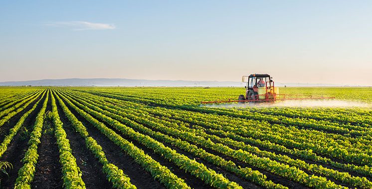 Agriculture : Priorité aux semences nationales et au semis direct