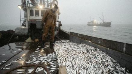 Pêche illégale : La grogne monte