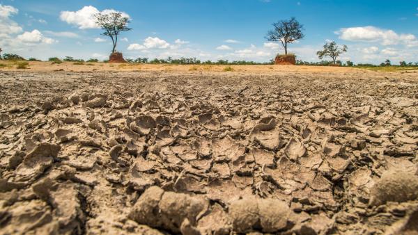 Gestion de la sécheresse : Une vraie problématique 